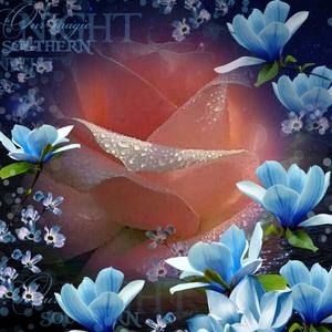 Meet your Posher, Breanna